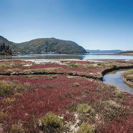 Lovely In With Sauna Blace